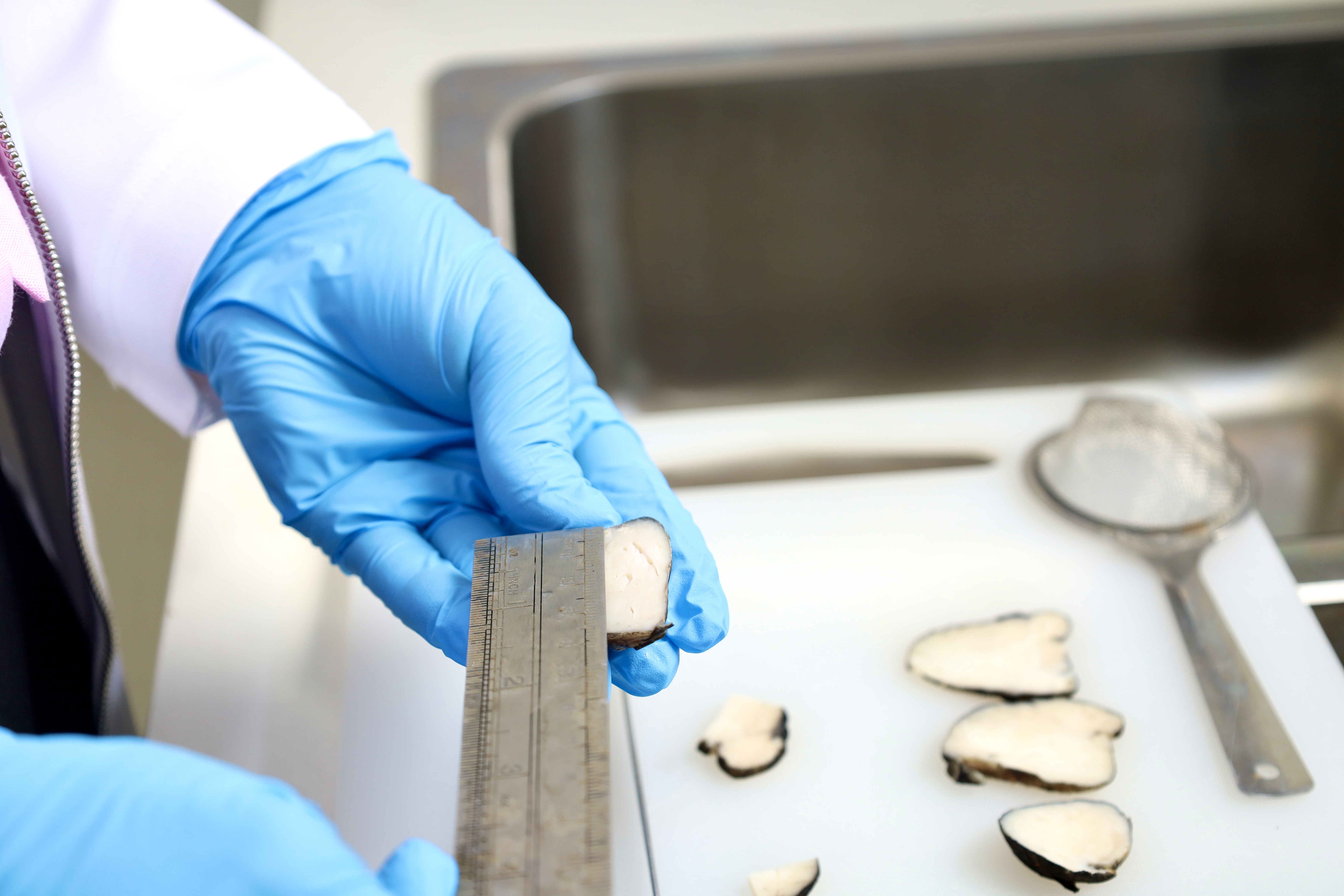 Medición de la muestra de tejido